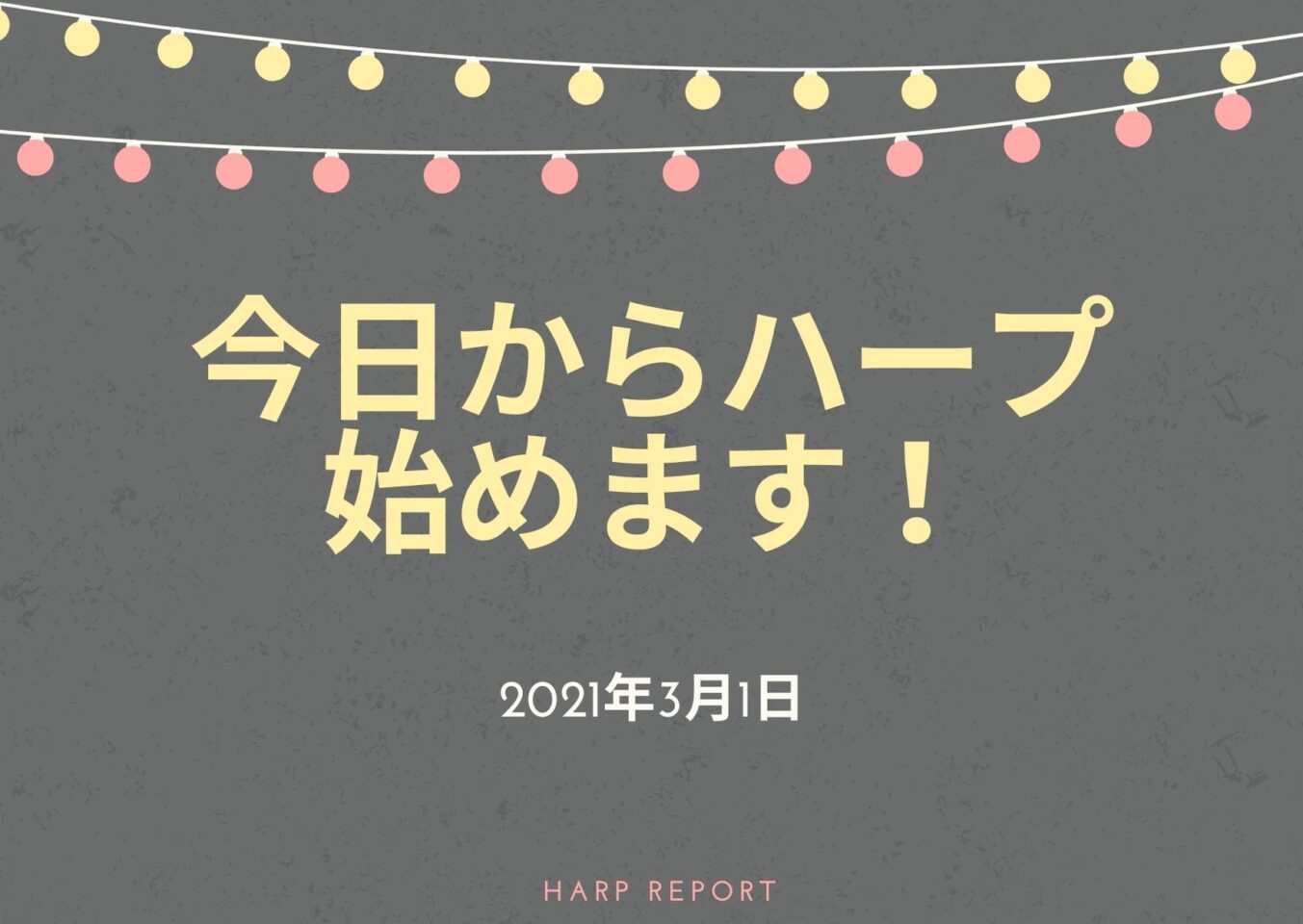 今日からハープ始めます ハープやろうぜ